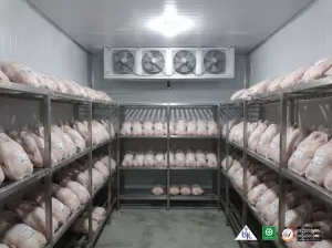 Solusi Cold Storage Freezer untuk Penyimpanan Produk Beku Berkualitas